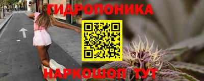 шишки Чебаркуль