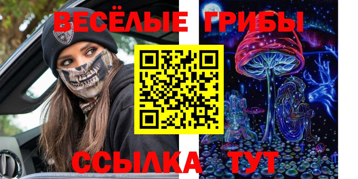 где можно купить   Псилоцибиновые грибы прущие грибы  Вход с VPN  Соль-Илецк 